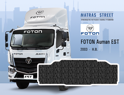  FOTON Auman ESTМ 12