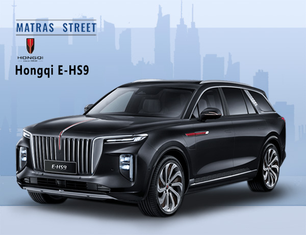 Hongqi E-HS9